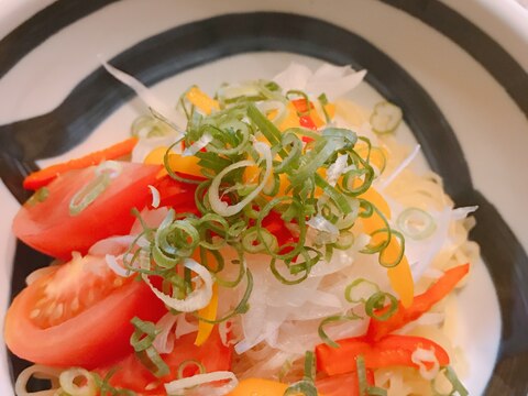 野菜たっぷりつけ麺！